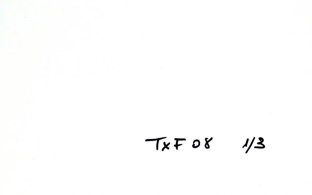 Txaro Fontalba, fotografía contemporánea, carta de amor, sobre con carne