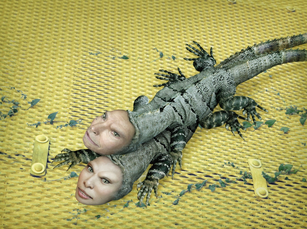 Daniel Lee, fotografía digital contemporánea, reptiles amarillo, 2008