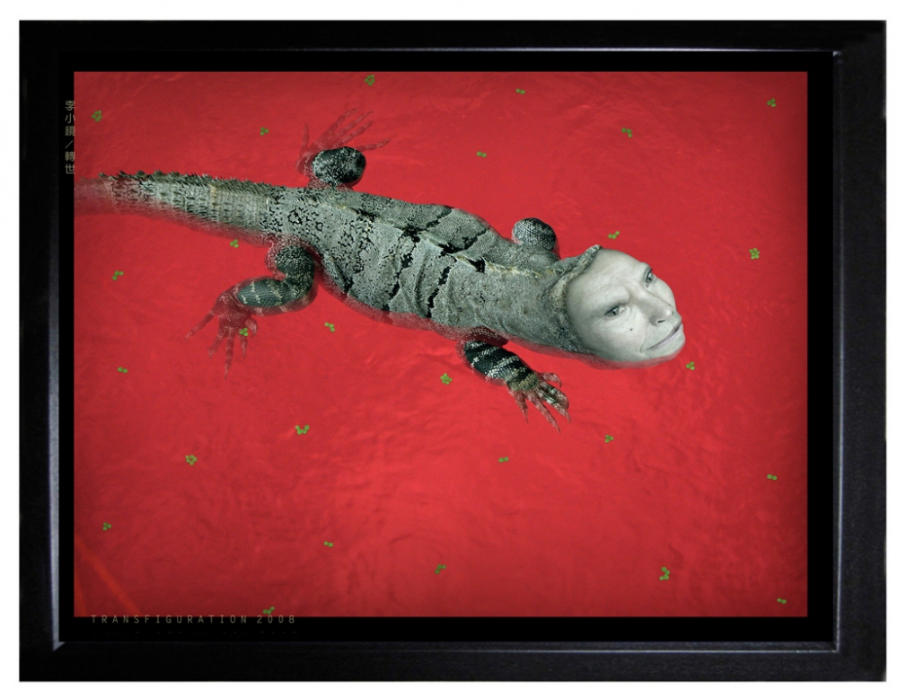 Daniel Lee, fotografía digital contemporánea, lagarto, 2008
