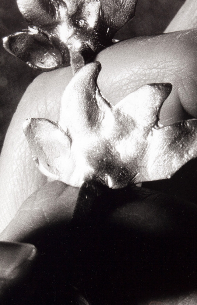 Fotografía contemporánea blanco y negro, pieza única, bodegón con manos, Eva Lootz