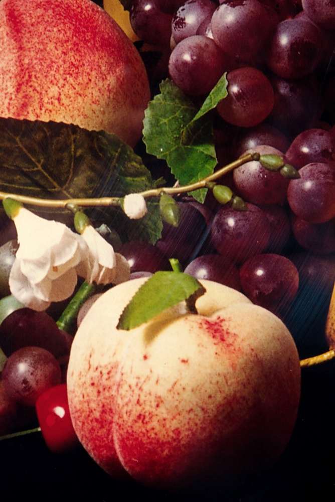 Lu Zhengyuan, fotografía contemporánea digital, bodegón con flores y frutas, 2008