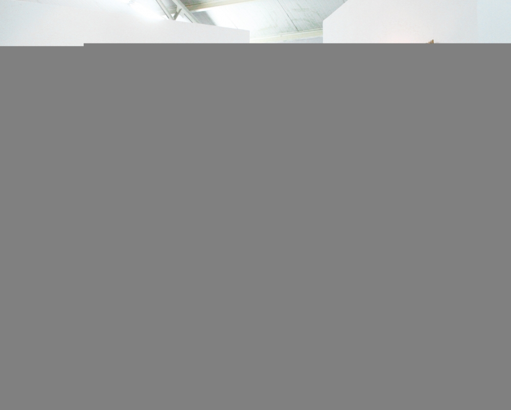 Lu Zhengyuan, fotografía contemporánea digital, bodegón con flores y frutas, 2008