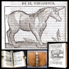 Año 1696 Unicornio. Libro de emblemas castellano. Andrés Ferrer de Valdecerebro, \"Govierno general, moral y politico, hallado en las fieras y animales sylvestres\", 1696