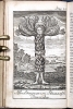 Año 1761 Ciencia ficción Utopía Viaje al interior de la Tierra Iter Subterraneum Ludvig Holberg 