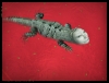 Daniel Lee, fotografía digital contemporánea, lagarto, 2008