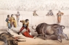 Gustave Doré, Corrida de Toros (Suite completa), 1860