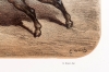 Gustave Doré, Corrida de Toros (Suite completa), 1860