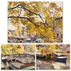 “Vista de Canal Parisino”, Enric Trapero Ballestero, 1970