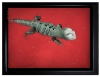 Daniel Lee, fotografía digital contemporánea, lagarto, 2008