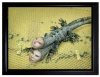 Daniel Lee, fotografía digital contemporánea, reptiles amarillo, 2008