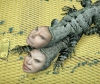 Daniel Lee, fotografía digital contemporánea, reptiles amarillo, 2008