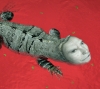 Daniel Lee, fotografía digital contemporánea, lagarto, 2008