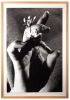 Fotografía contemporánea blanco y negro, pieza única, bodegón con manos, Eva Lootz