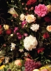 Lu Zhengyuan, fotografía contemporánea digital, bodegón con flores y frutas, 2008