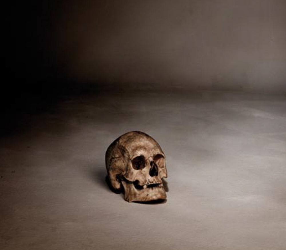 Alberto Adsuara, fotografía contemporánea, bodegón con calavera, memento mori, 2007