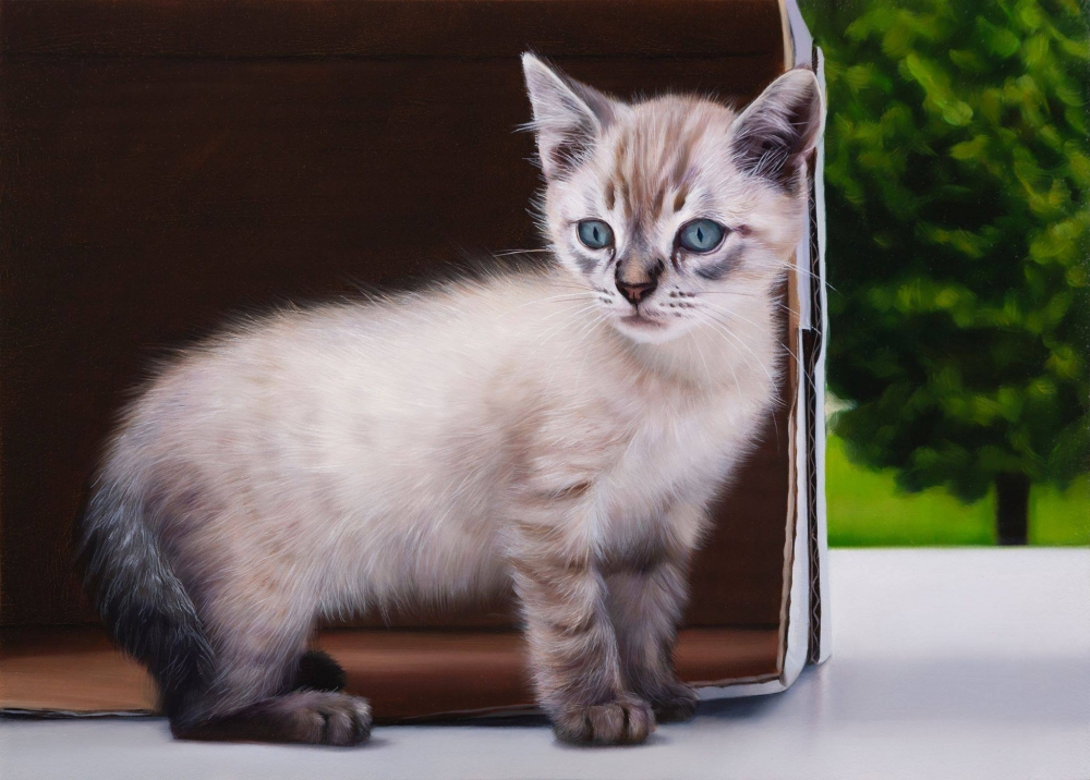Javier Arizabalo, pintura hiperrealista, gato blanco, 2021