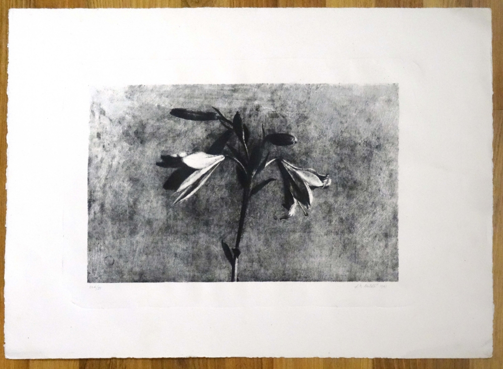 José Manuel Ballester, litografía, bodegón de flores, azucenas,1991