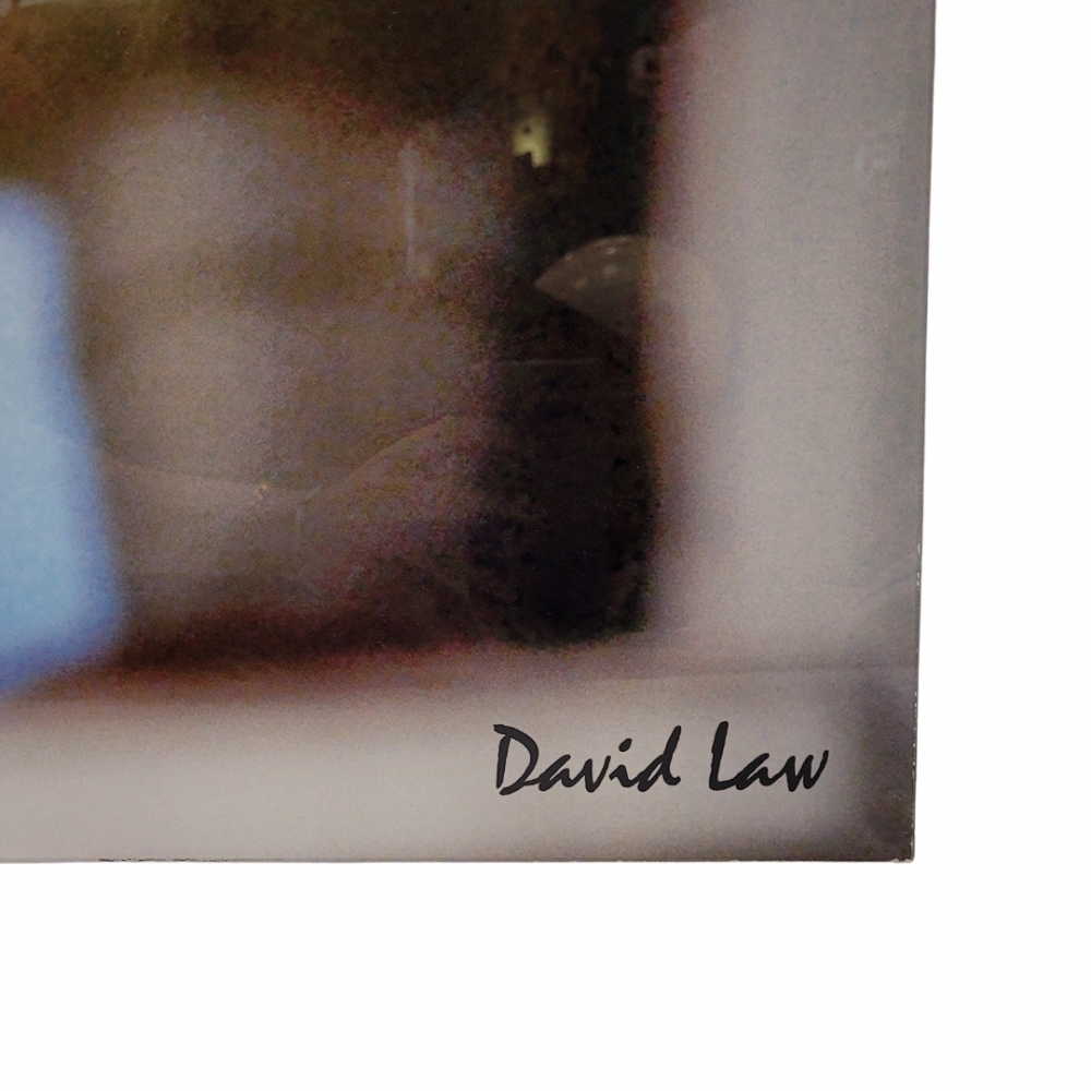 Fotografía “Retrato femenino”, David Law, Metacrilato, Inglaterra, siglo XX