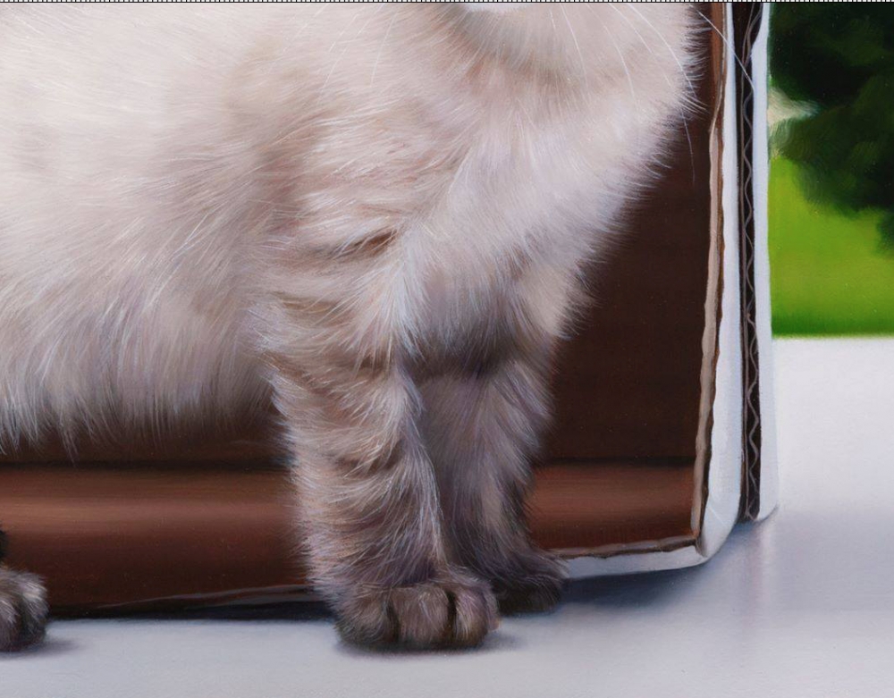 Javier Arizabalo, pintura hiperrealista, gato blanco, 2021