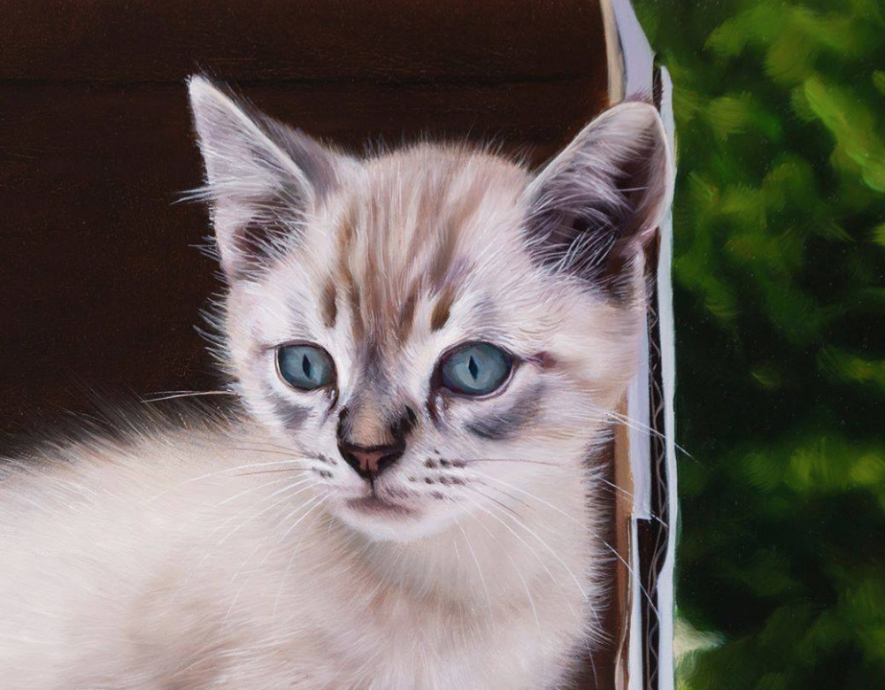Javier Arizabalo, pintura hiperrealista, gato blanco, 2021
