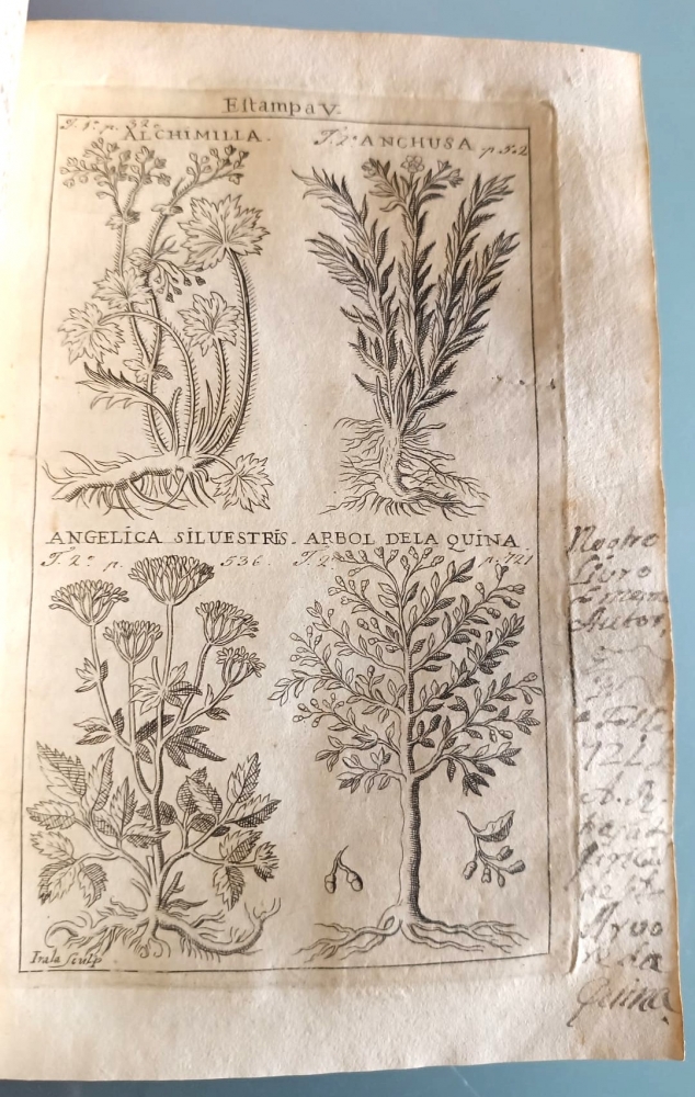 Libro español de 1730, Clave médico-chirúrgica universal, ilustraciones de plantas medicinales