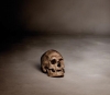 Alberto Adsuara, fotografía contemporánea, bodegón con calavera, memento mori, 2007