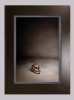 Alberto Adsuara, fotografía contemporánea, bodegón con calavera, memento mori, 2007