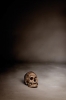Alberto Adsuara, fotografía contemporánea, bodegón con calavera, memento mori, 2007