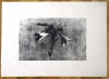 José Manuel Ballester, litografía, bodegón de flores, azucenas,1991