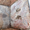 Cofre / Joyero, madera ebonizada, chapa de raíz y hueso, Belfort, Alemania, siglo XIX