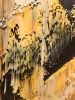 “Tartini’s Sonata”, Tanja Räisänen (1983), 2022