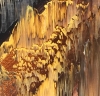 “Tartini’s Sonata”, Tanja Räisänen (1983), 2022