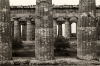 Ferran Freixa, Templo de Hera en Paestum, 1985, gelatina de plata