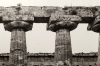 Ferran Freixa, Templo de Hera en Paestum, 1985, gelatina de plata