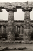 Ferran Freixa, Templo de Hera en Paestum, 1985, gelatina de plata