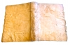 Año 1598, Hernando de Santiago, Consideraciones de los Evangelios de Cuaresma, Barcelona, pergamino