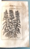 Libro español de 1730, Clave médico-chirúrgica universal, ilustraciones de plantas medicinales