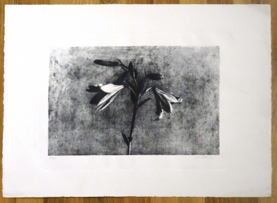 José Manuel Ballester, litografía, bodegón de flores, azucenas,1991