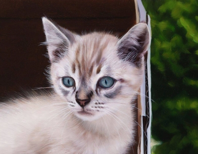 Javier Arizabalo, pintura hiperrealista, gato blanco, 2021