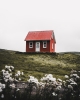 Homestay #4