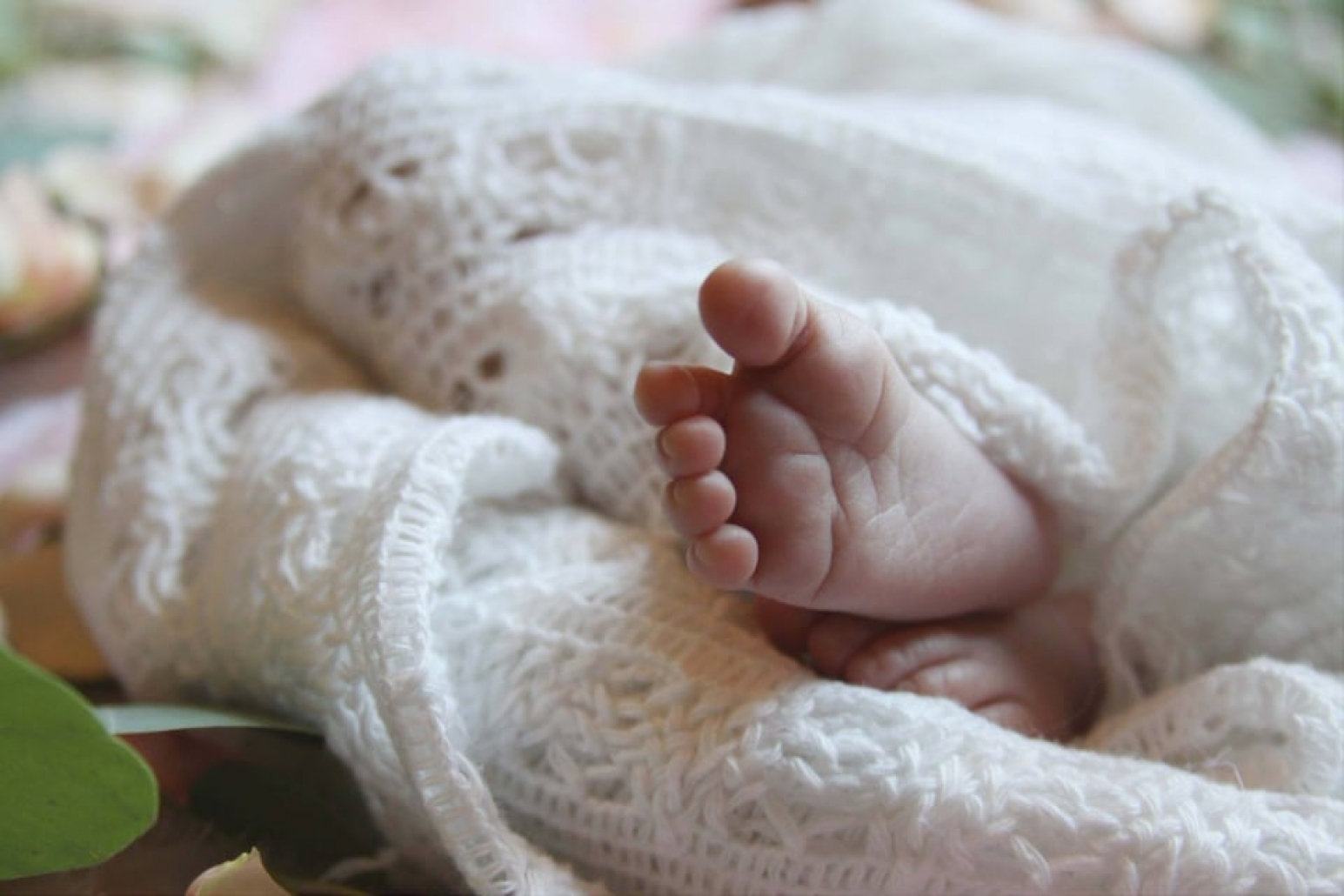A baby&rsquo;s foot in a parent&rsquo;s hand.