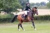 ClipMyHorse.TV