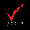 Vebiz Consulting