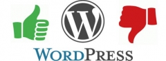 wordpress pros and cons marketplace