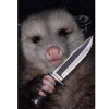 awesome-opossum
