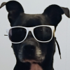 SquintsE