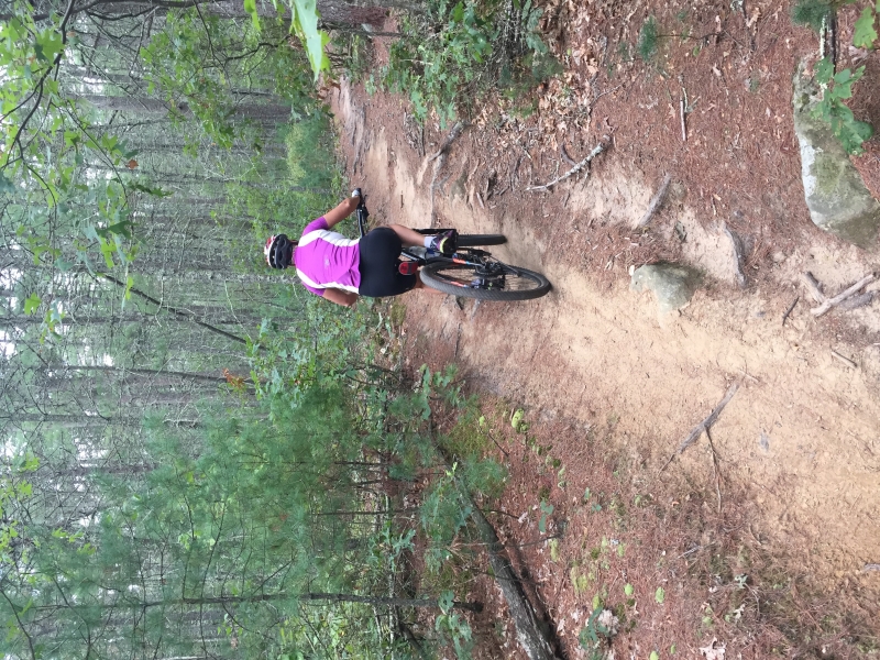 Pamela Carthew - cover