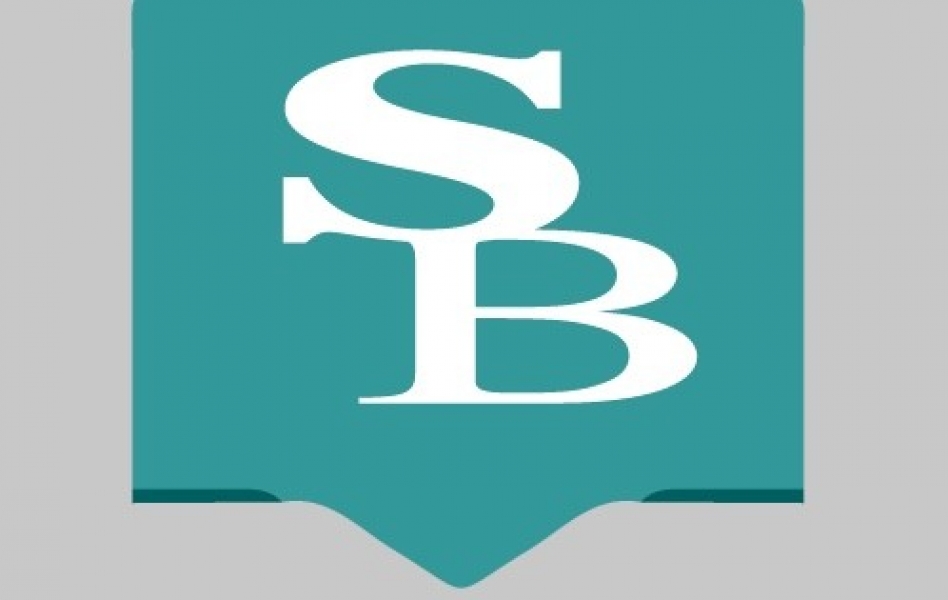 Stew Berman - media 77