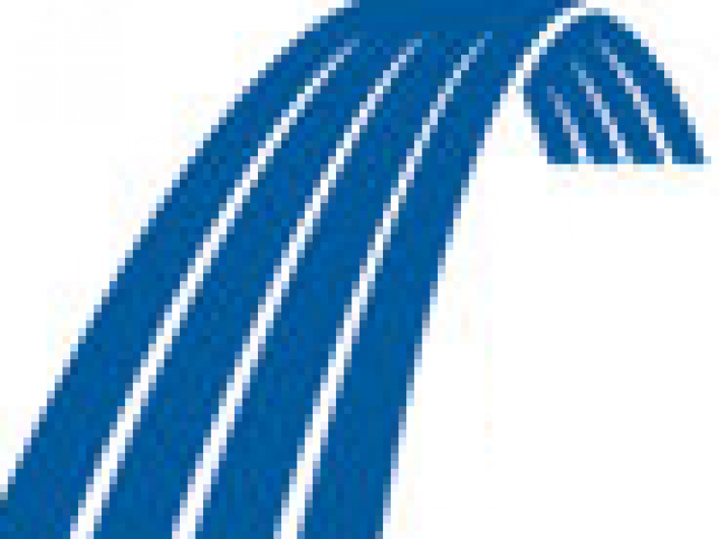 Deborah Rivers, PhD, PCC, BCC - media 95