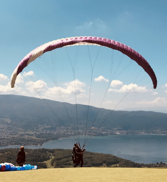 Becca Sabarte - media 112